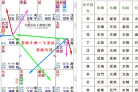 紫微斗数 四化表 详解视频封面