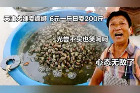 天津大姨卖螺蛳，6元一斤日卖200斤，心态无敌，光尝不买也笑呵呵视频封面