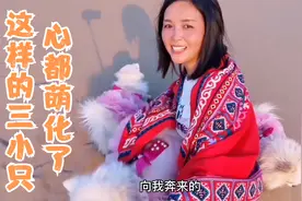 摩旅敦煌遇到小帅哥，一个人带了三只博美犬，一秒圈粉太可爱了