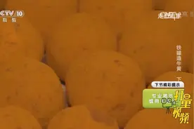 将牛胆汁直接加热熬干，得到的干燥物能否当牛黄食用？|走近科学