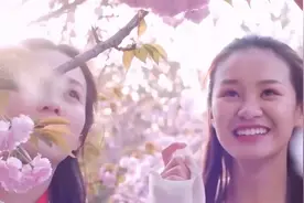 咱河南这两处樱花不输武大！清明假期有地方去了，你会选哪个？视频封面
