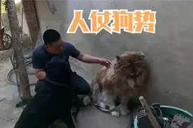 这个博主居然人仗狗势，用自家的狗去训导别人家不听话的狗