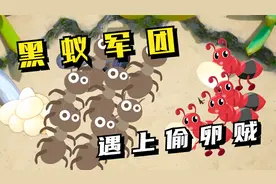 地下蚁国02：黑蚁军团，遇上偷卵贼！