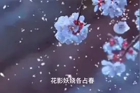 王安石这首诗，告诉了世人，什么才是真正的“文人风骨”