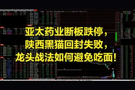 亚太药业断板，陕西黑猫高位换手，这种情况下的市场怎么理解？视频封面