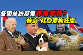各国总统都爱养啥宠物？普京、拜登爱狗狂人，沙特王子更爱猛兽视频封面
