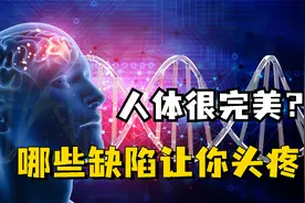 在千百万年的进化之中，人类的生理结构还有哪些不合理的地方？视频封面
