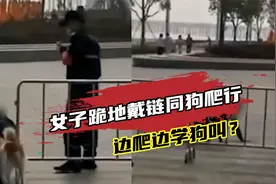 深圳一女子跪地戴链同狗爬行，还学狗叫？警方：已批评教育视频封面