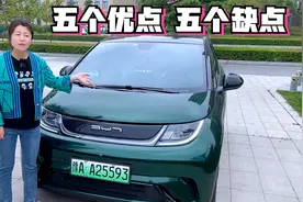 比亚迪海豚值不值得买？宝妈开一万公里总结了五个优点和五个缺点