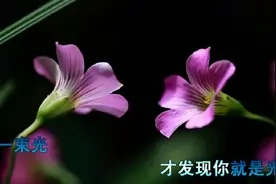 逆光 - 王俊凯，感觉爱存在的地方，一直就在我身边视频封面