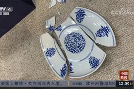 台北故宫博物院院长披露“清乾隆青花花卉盘”摔落细节视频封面
