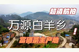 超清航拍 万源市白羊乡 素有茶乡之称富硒茶主产地 现并入固军镇视频封面