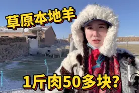 内蒙草原羊肉啥价格？1斤肉能卖到50多块，网友质疑价格贵太黑心视频封面