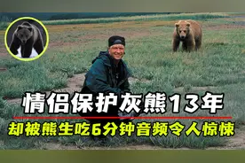 情侣保护灰熊13年，二人却被灰熊生吃，6分钟录音让人毛骨悚然！视频封面