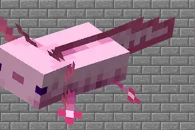 我的世界美西螈冷知识，你一定不知道的关于六角恐龙的知识！