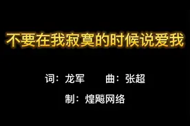 不要在我寂寞的时候说爱我（歌词版）#热门音乐 #热门歌曲 #音乐
