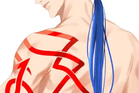 人体教程，fate库.丘林视频封面