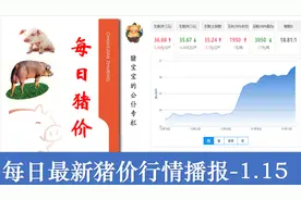 2020年1月15日全国最新猪价行情：涨涨张，持续上涨半个月了！