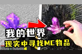 我的世界：在MC随机物品，现实中找到它？但紫水晶太难找