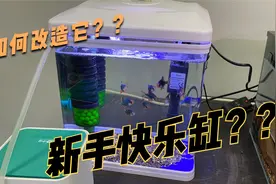如何改造成品小鱼缸，5种方法视频封面