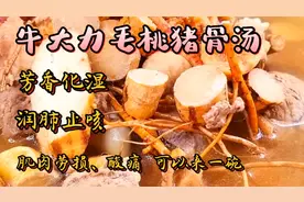 牛大力五指毛桃猪骨汤，对湿气重、咳嗽、肌肉劳损、酸痛效果很好