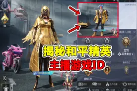 揭秘和平精英各大主播游戏id