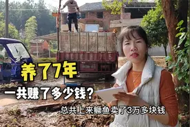 承包10亩的大鱼塘有钱赚吗？养了7年赚了多少？听完真的好心酸视频封面