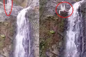 外国人少系列！男子从9米高瀑布跳水，头撞岩石把水都染红了视频封面