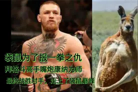 袋鼠为了报一拳之仇  拜格斗高手嘴炮康纳为师  最终走上袋鼠巅峰视频封面