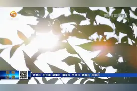 甘肃：国土绿化擦亮高质量发展底色视频封面