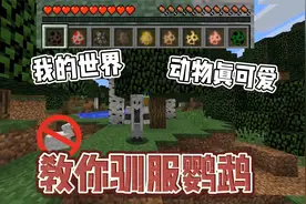 我的世界小知识：你知道鹦鹉如何驯服吗！