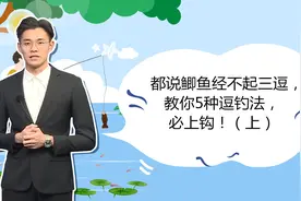 都说鲫鱼经不起三逗，教你5种逗钓法，必上钩！（上）
