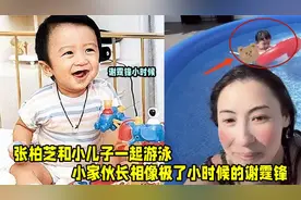 张柏芝三胎儿子长相首曝光，像极了小时候的谢霆锋，生父至今成谜