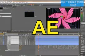 你们要的教程来了 广电讲师张天秀AE教程 花朵绽放 影视后期教学