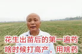 花生出苗后的第一遍药什么时候打高产，用啥药