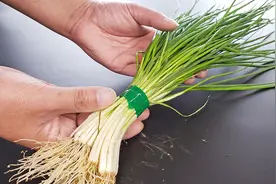 原来保存小葱这么简单，不蔫不烂，一冬天都吃新鲜香葱，方法真棒视频封面