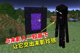 我的世界变形16：末影人穿上钻石套，让对面小黑乖乖交出末影珍珠视频封面
