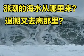 大海为什么会涨潮退朝？涨潮的海水从哪里来？退潮后又去了哪里？视频封面
