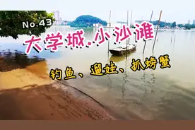 广州秘境-无人小沙滩，大学城郊游、钓鱼、拍拖、遛娃、捉螃蟹