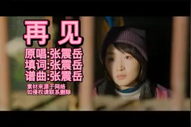 一首张震岳的《再见》,唱哭了多少青春离别的人,再见亦是为了再见视频封面
