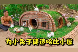 烤一只鸡来充饥，然后徒手用树枝和砖头，为小兔子建造哈比小屋！视频封面