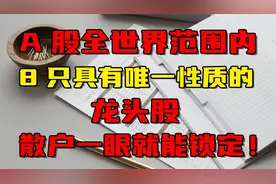A股全世界范围内的8只具有唯一性质的龙头股，散户一眼就能锁定！视频封面