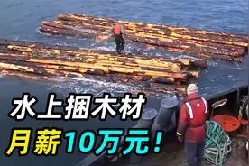 加拿大玩命工作，水上捆木材，月入10万，弄丢就坐牢！视频封面