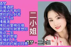 民间翻唱达人二小姐翻唱经典歌曲12首，太好听了