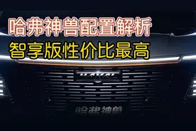 智享版性价比最高，哈弗神兽配置全面解析