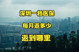 深圳一档医保个人账户每个月返多少钱？返到哪里视频封面