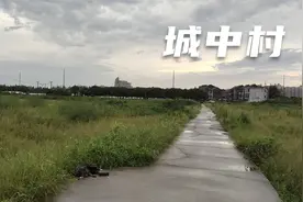 穿行城中村，人烟稀少，树木茂密，道路破旧视频封面