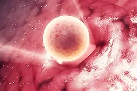 受精卵着床后，孕妈如果有这4种感受，基本就是“好孕”来敲门了