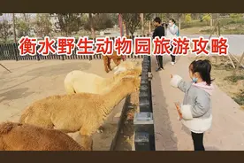 衡水野生动物园旅游攻略
