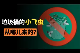 为什么垃圾桶几天不倒，会凭空生出一堆的小飞虫？视频封面